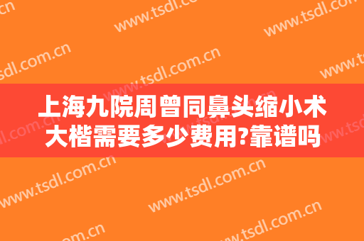 上海九院周曾同鼻头缩小术大楷需要多少费用?靠谱吗?