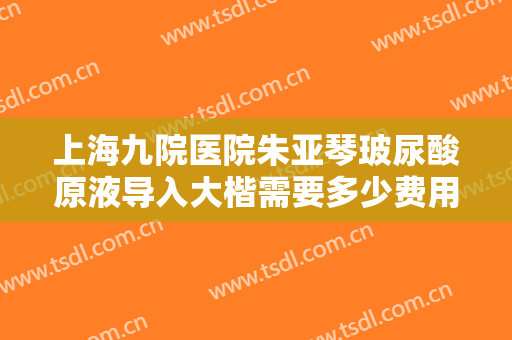 上海九院医院朱亚琴玻尿酸原液导入大楷需要多少费用?好不好?