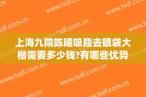 上海九院陈曦吸脂去眼袋大楷需要多少钱?有哪些优势?(上海九院做眼袋价格)