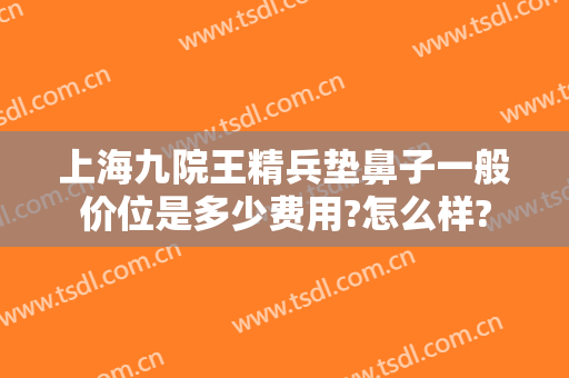 上海九院王精兵垫鼻子一般价位是多少费用?怎么样?