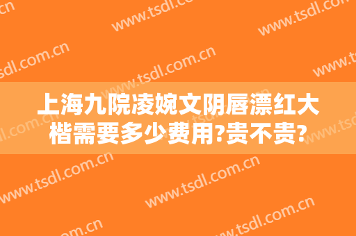 上海九院凌婉文阴唇漂红大楷需要多少费用?贵不贵?