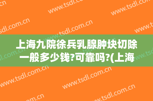 上海九院徐兵乳腺肿块切除一般多少钱?可靠吗?(上海九院副乳切除)