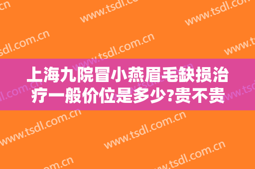 上海九院冒小燕眉毛缺损治疗一般价位是多少?贵不贵?