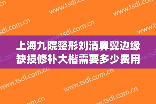 上海九院整形刘清鼻翼边缘缺损修补大楷需要多少费用?贵不贵?(上海九院整形鼻子多少钱)