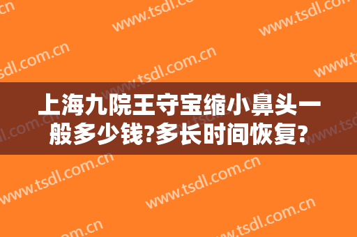 上海九院王守宝缩小鼻头一般多少钱?多长时间恢复?