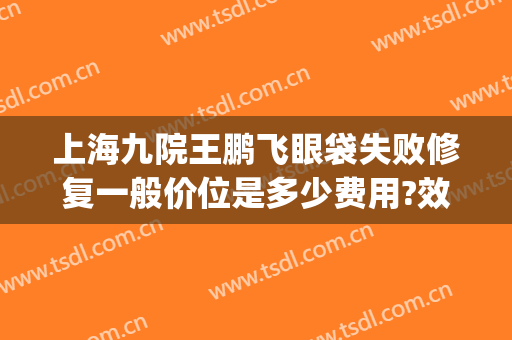 上海九院王鹏飞眼袋失败修复一般价位是多少费用?效果怎么样?(上海九院祛眼袋医生)