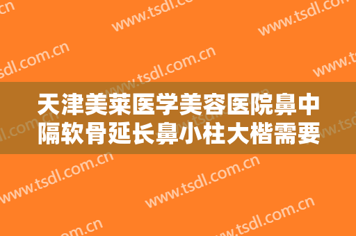 天津美莱医学美容医院鼻中隔软骨延长鼻小柱大楷需要多少钱?多长时间恢复?