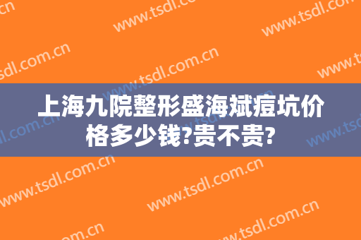 上海九院整形盛海斌痘坑价格多少钱?贵不贵?