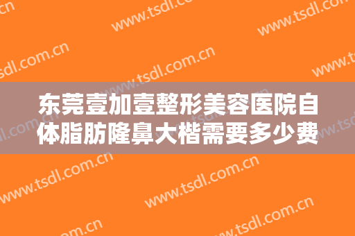 东莞壹加壹整形美容医院自体脂肪隆鼻大楷需要多少费用?可靠吗?