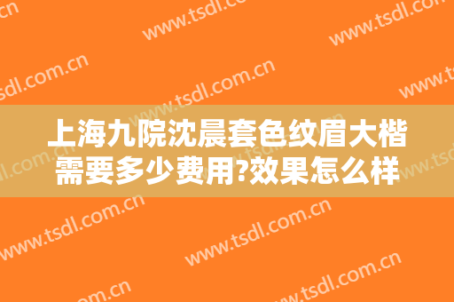 上海九院沈晨套色纹眉大楷需要多少费用?效果怎么样?