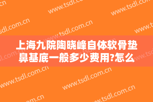 上海九院陶晓峰自体软骨垫鼻基底一般多少费用?怎么样?