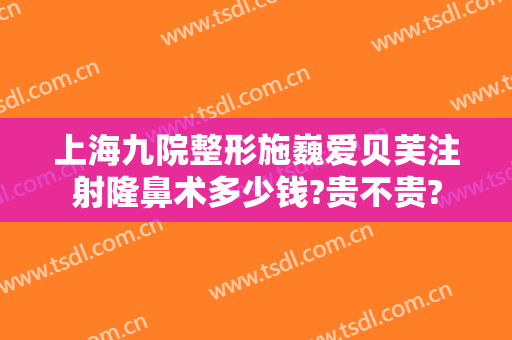 上海九院整形施巍爱贝芙注射隆鼻术多少钱?贵不贵?