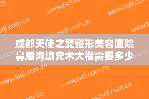 成都天使之翼整形美容医院鼻唇沟填充术大楷需要多少钱?有哪些优势?