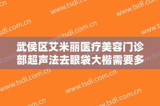 武侯区艾米丽医疗美容门诊部超声法去眼袋大楷需要多少钱?贵不贵?
