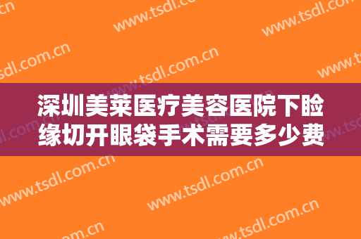 深圳美莱医疗美容医院下睑缘切开眼袋手术需要多少费用?需要多久恢复?
