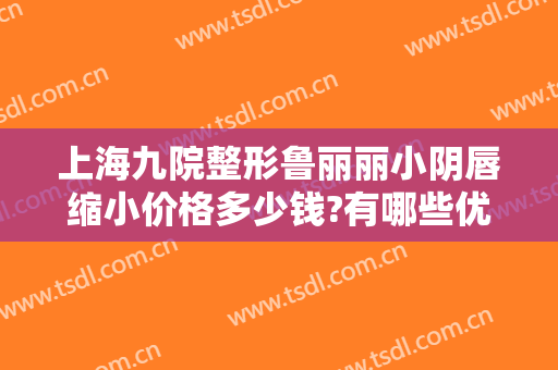 上海九院整形鲁丽丽小阴唇缩小价格多少钱?有哪些优势?