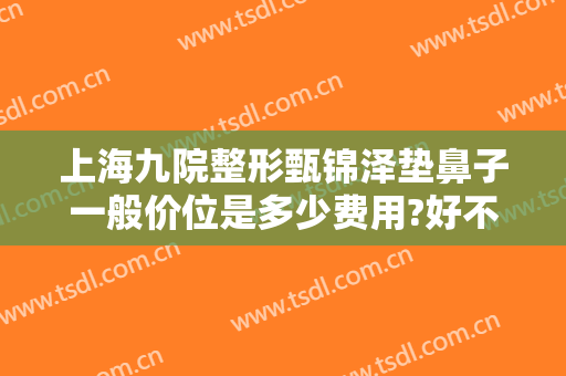 上海九院整形甄锦泽垫鼻子一般价位是多少费用?好不好?