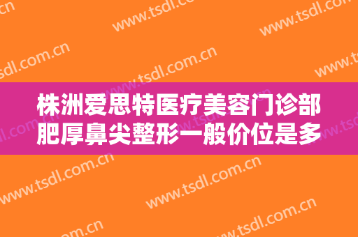 株洲爱思特医疗美容门诊部肥厚鼻尖整形一般价位是多少费用?效果怎么样?