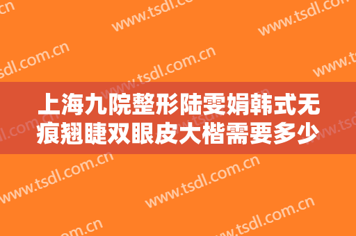 上海九院整形陆雯娟韩式无痕翘睫双眼皮大楷需要多少费用?效果怎么样?