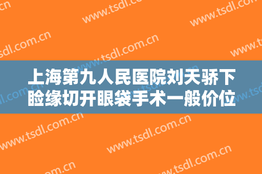 上海第九人民医院刘天骄下睑缘切开眼袋手术一般价位是多少费用?贵不贵?