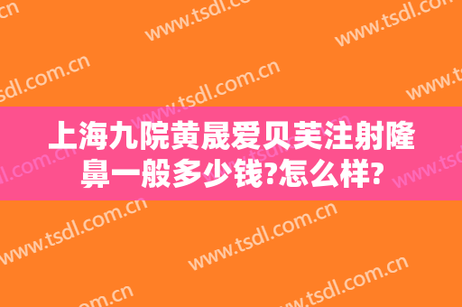 上海九院黄晟爱贝芙注射隆鼻一般多少钱?怎么样?
