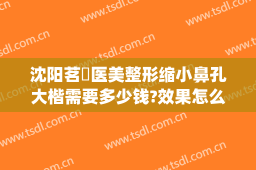 沈阳茗湲医美整形缩小鼻孔大楷需要多少钱?效果怎么样?(沈阳茗湲医美整形医院)