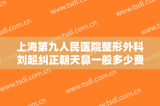 上海第九人民医院整形外科刘超纠正朝天鼻一般多少费用?好不好?
