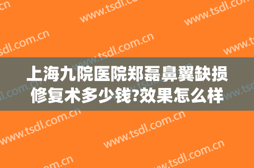 上海九院医院郑磊鼻翼缺损修复术多少钱?效果怎么样?(上海第九人民医院鼻翼缩小多少钱)