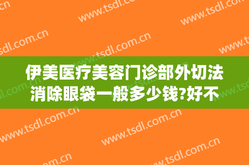 伊美医疗美容门诊部外切法消除眼袋一般多少钱?好不好?(伊美尔去除眼袋价格)