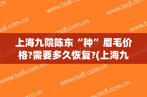 上海九院陈东“种”眉毛价格?需要多久恢复?(上海九院整形价目表2024,做眉毛)