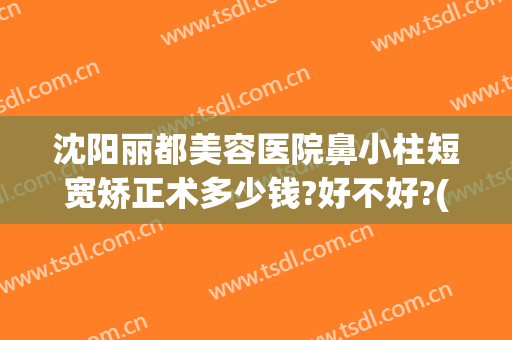 沈阳丽都美容医院鼻小柱短宽矫正术多少钱?好不好?(鼻小柱整形费用)