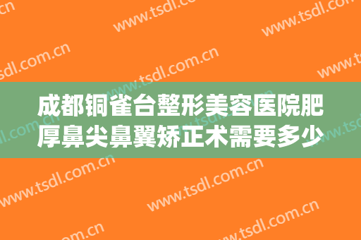 成都铜雀台整形美容医院肥厚鼻尖鼻翼矫正术需要多少钱?靠谱吗?(成都铜雀台做鼻综合怎么样)