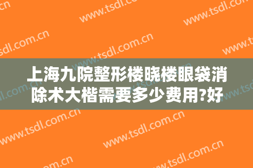 上海九院整形楼晓楼眼袋消除术大楷需要多少费用?好不好?