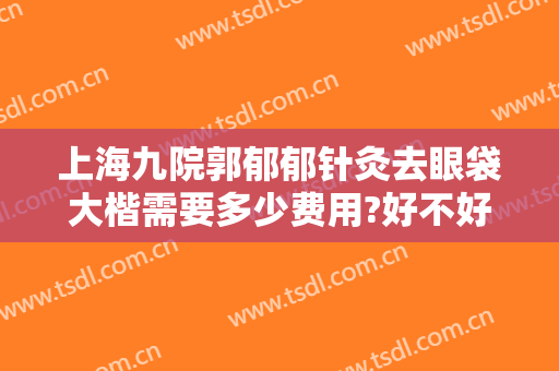 上海九院郭郁郁针灸去眼袋大楷需要多少费用?好不好?