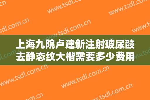 上海九院卢建新注射玻尿酸去静态纹大楷需要多少费用?需要多久恢复?