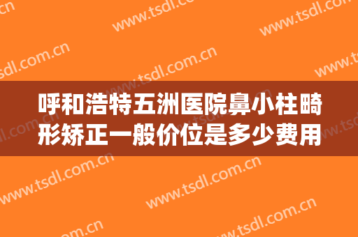 呼和浩特五洲医院鼻小柱畸形矫正一般价位是多少费用?贵不贵?(鼻小柱整形一般多少钱)