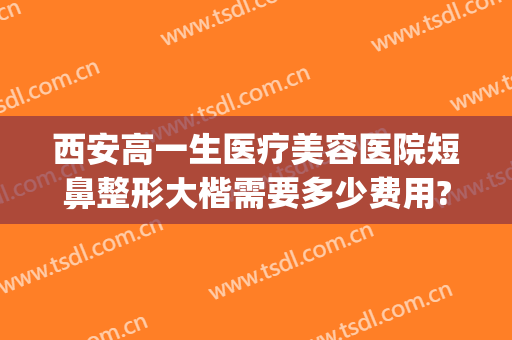 西安高一生医疗美容医院短鼻整形大楷需要多少费用?靠谱吗?(西安做个鼻子整形要多少钱)