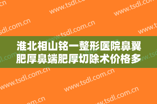 淮北相山铭一整形医院鼻翼肥厚鼻端肥厚切除术价格多少钱?好不好?