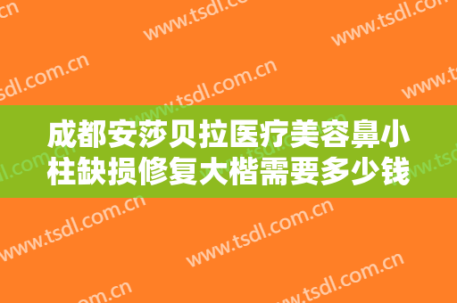 成都安莎贝拉医疗美容鼻小柱缺损修复大楷需要多少钱?有哪些优势?