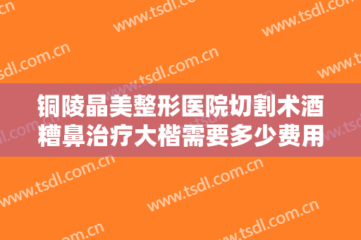 铜陵晶美整形医院切割术酒糟鼻治疗大楷需要多少费用?可靠吗?