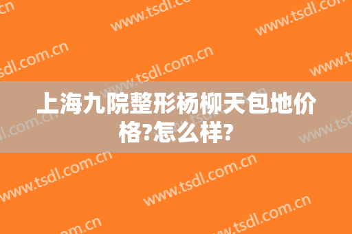 上海九院整形杨柳天包地价格?怎么样?