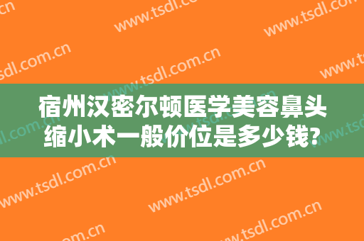 宿州汉密尔顿医学美容鼻头缩小术一般价位是多少钱?怎么样?
