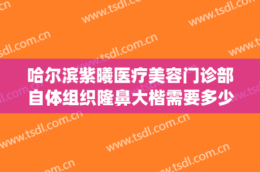 哈尔滨紫曦医疗美容门诊部自体组织隆鼻大楷需要多少费用?怎么样?(哈尔滨紫曦整形)