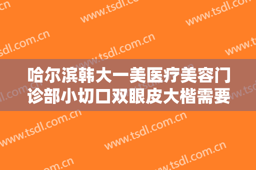 哈尔滨韩大一美医疗美容门诊部小切口双眼皮大楷需要多少钱?好不好?