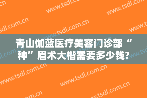 青山伽蓝医疗美容门诊部“种”眉术大楷需要多少钱?效果怎么样?
