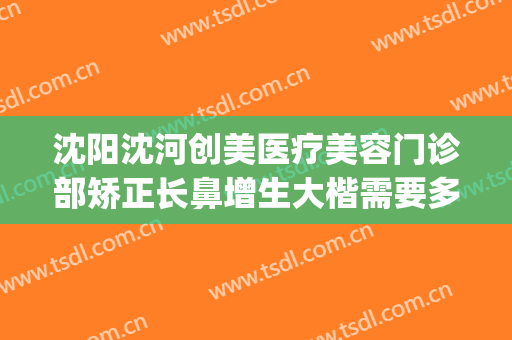 沈阳沈河创美医疗美容门诊部矫正长鼻增生大楷需要多少钱?可靠吗?(沈阳隆鼻整形医院)