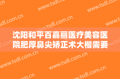 沈阳和平百嘉丽医疗美容医院肥厚鼻尖矫正术大楷需要多少钱?效果怎么样?