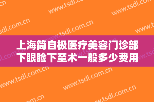 上海简自极医疗美容门诊部下眼睑下至术一般多少费用?有哪些优势?