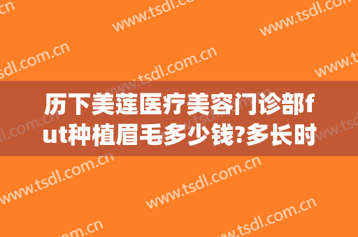历下美莲医疗美容门诊部fut种植眉毛多少钱?多长时间恢复?(大连植眉毛价格)