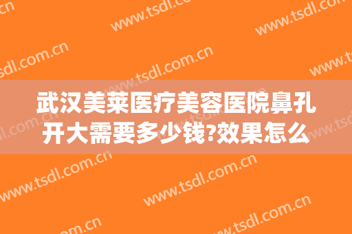 武汉美莱医疗美容医院鼻孔开大需要多少钱?效果怎么样?(武汉做鼻子多少钱)